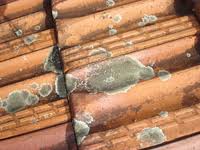 painting terracotta roof tiles